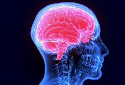 Illustration showing human brain against dark background